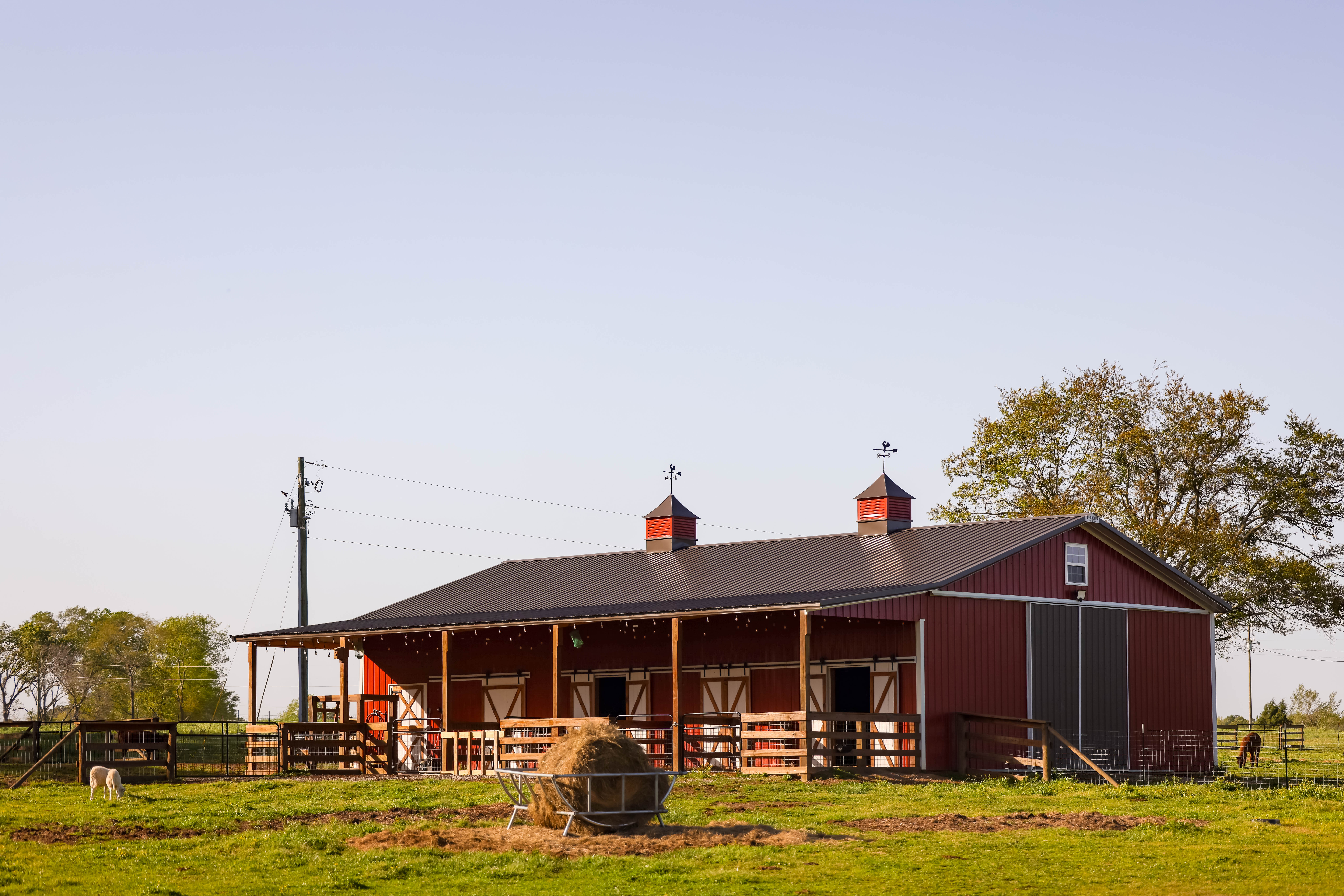 In 2021, the Sowards relocated from their native Arkansas to the South Carolina Midlands, where they're rebuilding and expanding their homestead. (Courtesy of Roots and Refuge Farm)