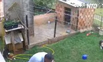 Man Turns His Whole Backyard Upside Down