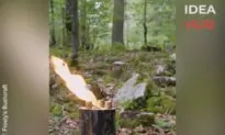 Making a Wood ROCKET Stove From a DRY Stump in 60 Seconds!