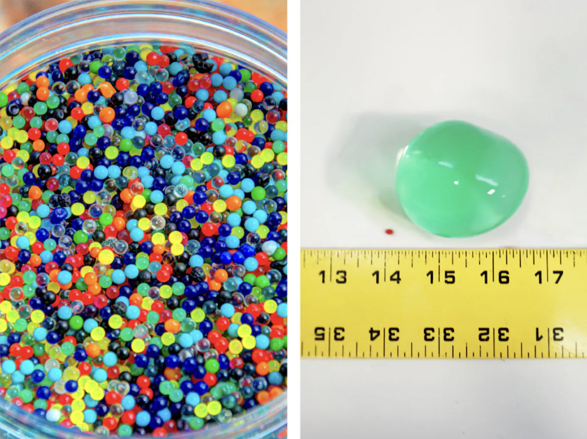 (Left) Undated photo showing unexpanded water beads before coming into contact with water. (Right) Undated photo showing an expanded water bead after coming into contact with water. (CPSB)