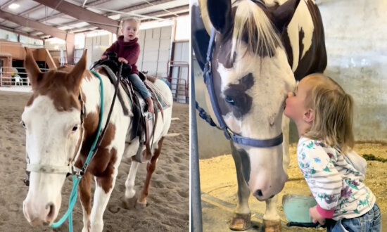 'Horses Can Feel Her': Meet the 2-Year-Old 'Horse Whisperer' Who Can Ride Full Grown Horses