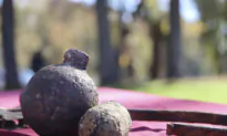 Confederate Military Relics Dumped During Union Offensive Unearthed in South Carolina River Cleanup