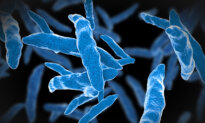 Tuberculosis Surpasses COVID-19 as Most Deadly Infectious Disease