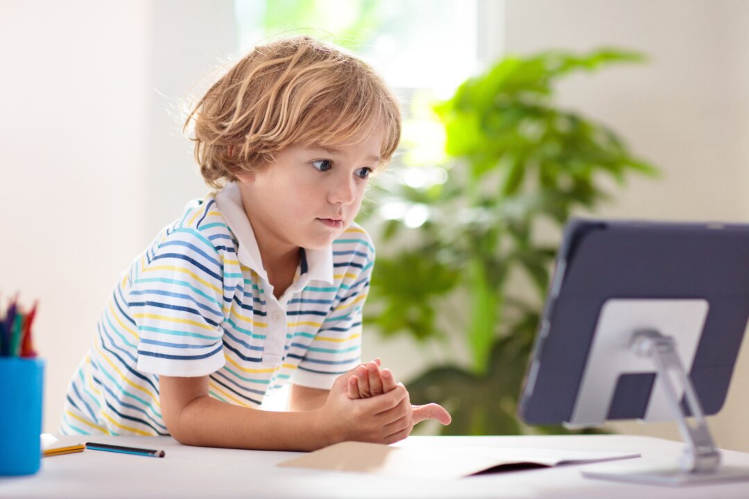 Albanese Government to Reform Copyright Act to Govern Online Learning