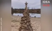 Happy Sandy Christmas!
