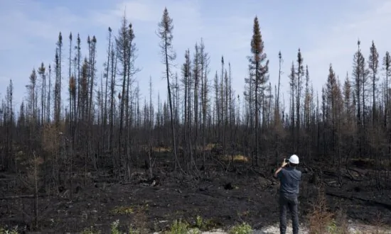 Quebec to Improve Forest Fire Adaptation After Record-Beating Wildfire Season