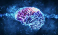 Contraceptives May Slow Brain Development, Increase Risk-Taking Behavior in Teens, Study Suggests