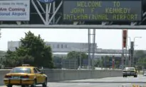 Horse Loose on Flight to Belgium Forces Cargo Jet Back to New York