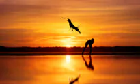 2023 Dog Photography Award Winners Capture the ‘Essence of Canine Beauty’ (Photos)