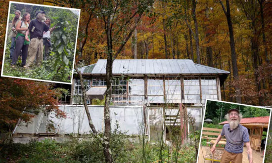 Here’s How This Appalachian Man Lived Off-Grid for 50 Years and Mastered the Art of Thriving in Nature