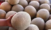 Eight Cases of Salmonella Linked to Imported Cantaloupes in BC