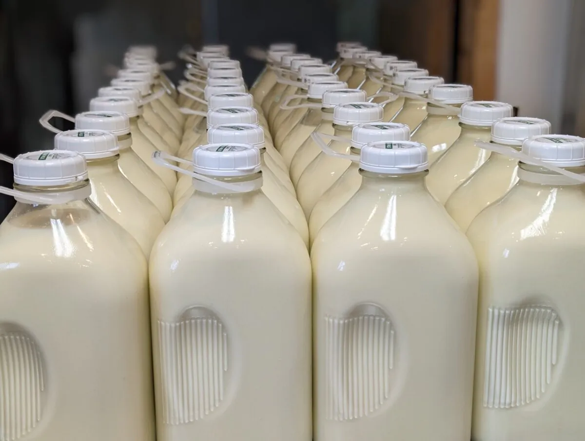 Jugs of raw milk. (Courtesy of Peter Bartlett)