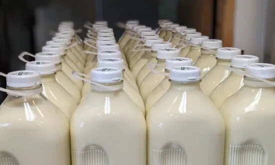 Government Raid of Amish Farm ‘Shameful,’ ‘Deck Stacked’ Against Small Farmers: Rep. Thomas Massie