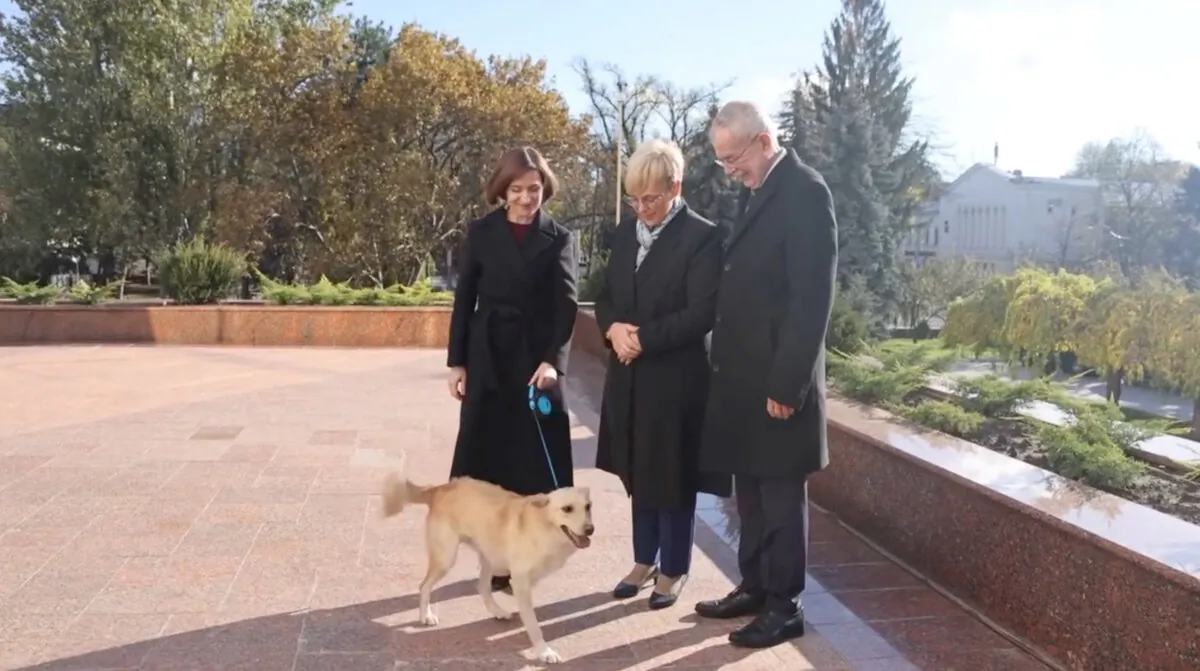 Moldova's President Maia Sandu and her dog greet Austria's President Alexander Van der Bellen and Slovenia's President Natasa Pirc Musar in Chisinau, Moldova, on Nov. 16, 2023, in a handout picture. (Maia Sandu via Facebook/Handout via Reuters)