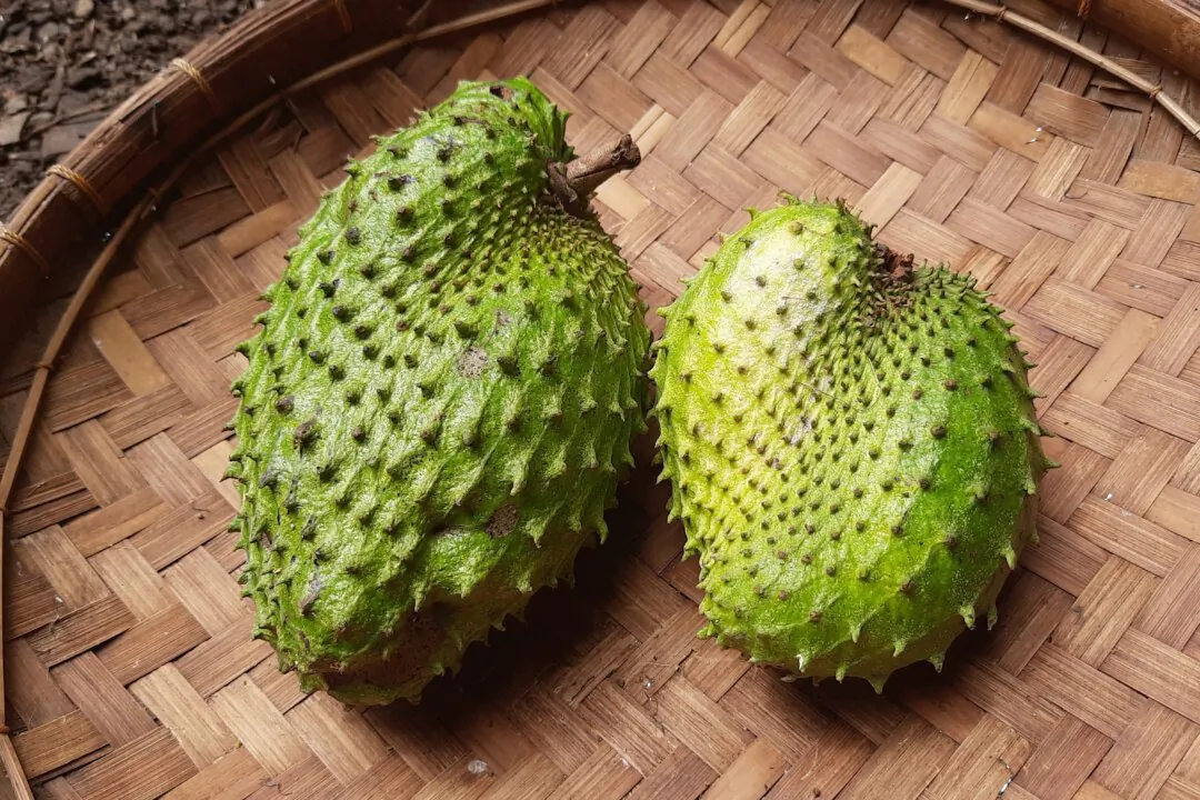 (Aris Hasyim/Shutterstock)