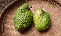 Soursop: Weighing the Potential for Cancer Treatment