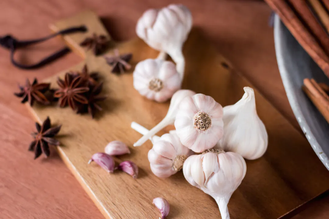 Garlic is naturally anti-parasitic, and anise oil is used to expel parasites. (Ploipiroon/Shutterstock)
