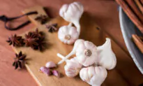 Natural Remedies for Parasite Infections