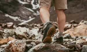 Setting Micro-Goals and Macro-Goals (III)—Reaching Beyond Boundaries (9)