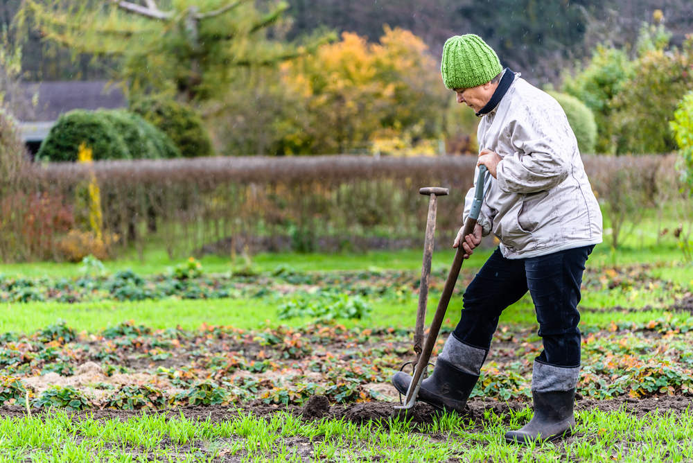 How to Properly Prepare Your Garden for Winter | The Epoch Times
