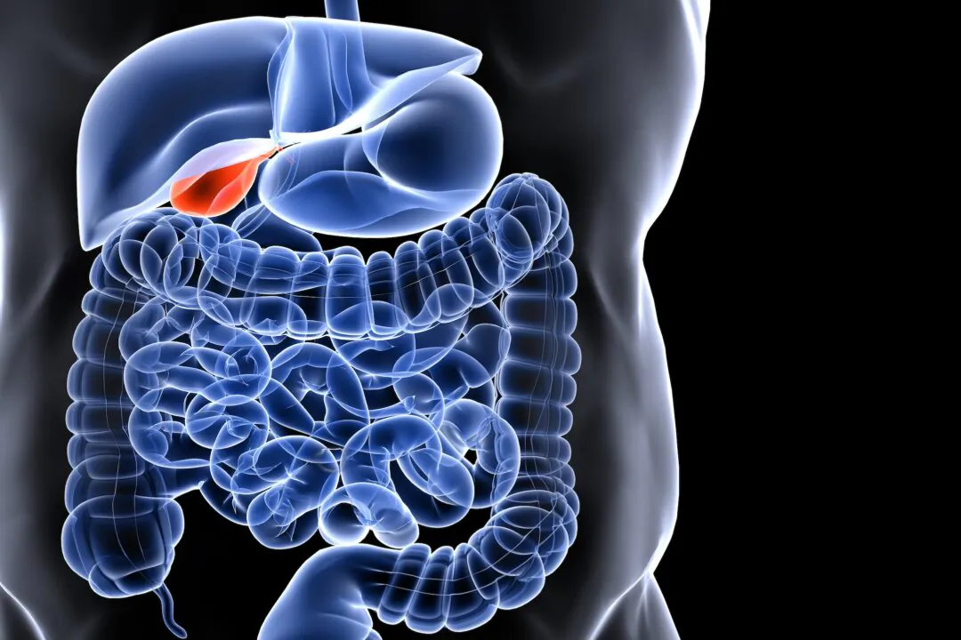 Problems associated with the gallbladder are common after large meals, like those around the holidays associated with an increase in doctor visits. (Shutterstock)