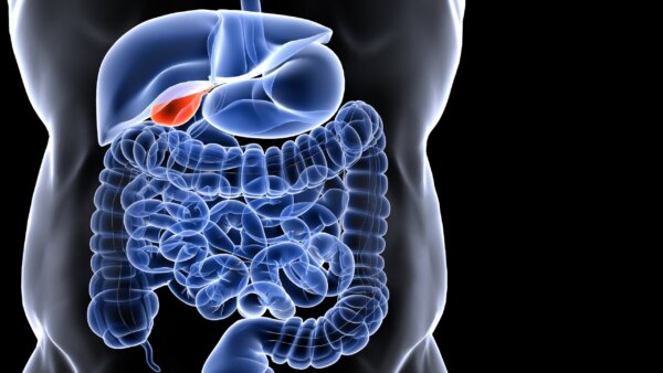 Surge in Doctor Visits Follows Large, Fatty Holiday Meals