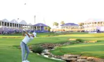 McIlroy Stalls, Hovland Soars and Hojgaard Leads by 2 Shots at World Tour Championship