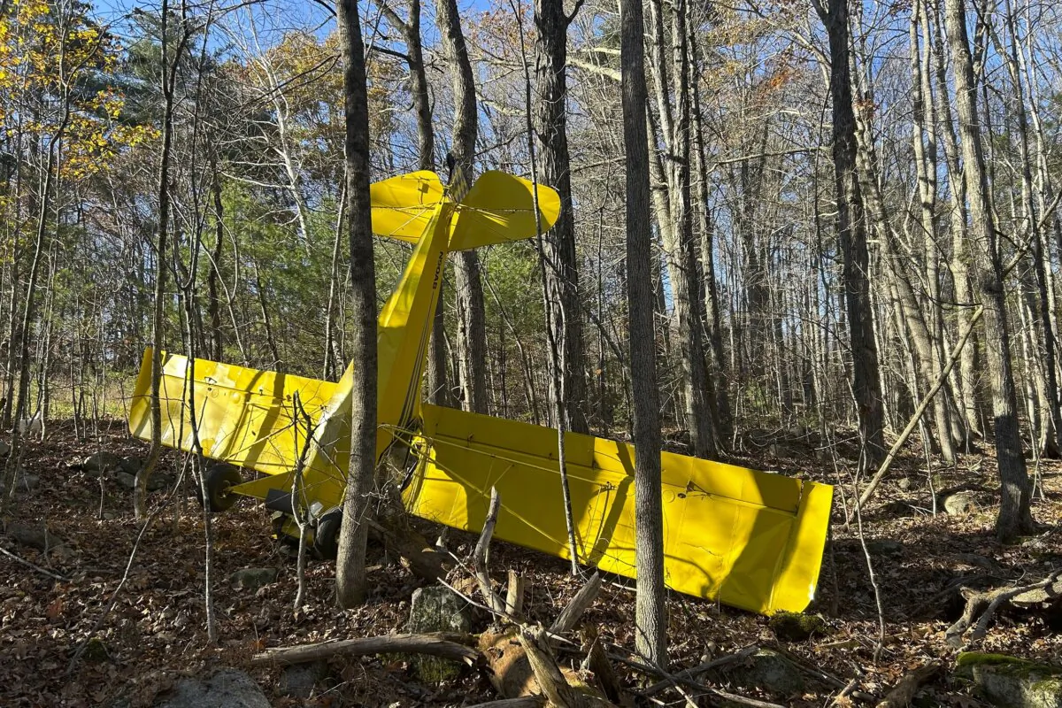 A yellow single-engine plane rests nose-down in a wooded area after crashing a mile away from Limington-Harmon Airport in Limington, Maine on Nov. 16, 2023. (Maine State Police via AP)