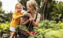 The Link Between the Environment, Nutrition, and Oral Health