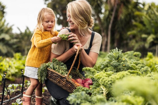 The Link Between the Environment, Nutrition, and Oral Health