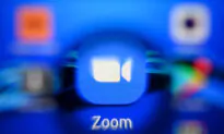 This Is Your Brain on Zoom