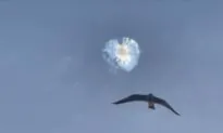 Video: Starship Rocket’s Separation, Explosion in 2nd Test Flight
