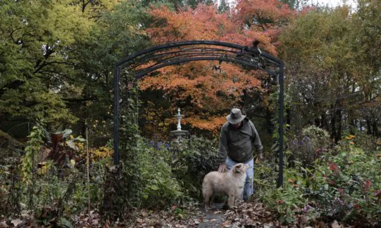 ‘Wearing a Tree Kind of Broke Down a Barrier’: Nursery Workers Promote the Importance and Beauty of Native Plants