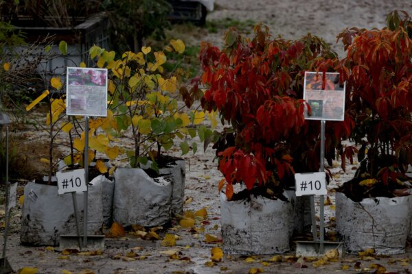 Epoch Times Photo
