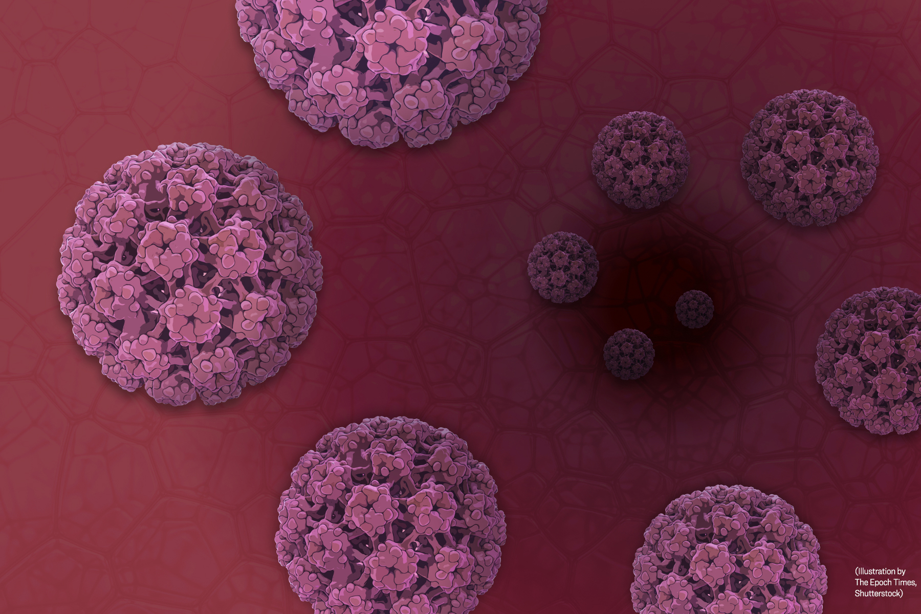 The True Culprits of Cervical Cancer Beyond HPV