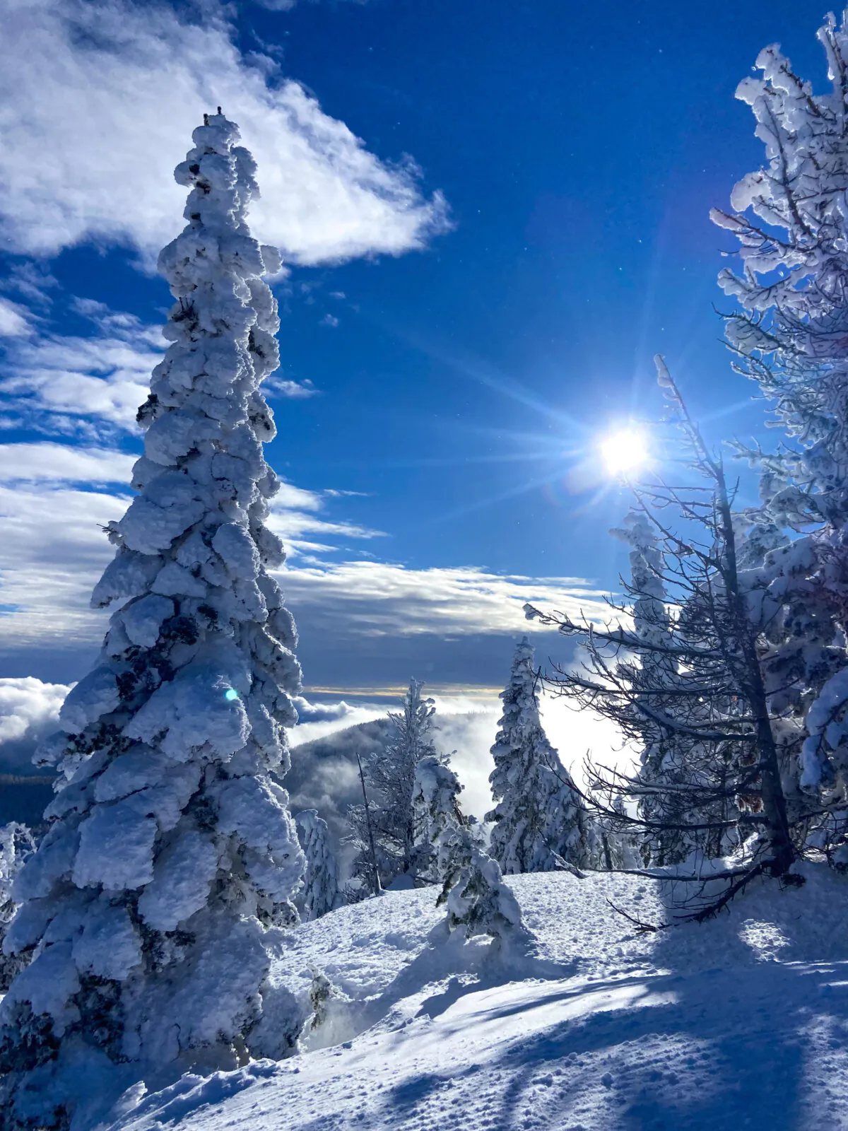 Clear skies at Schweitzer's North Bowl in the northern panhandle of Idaho, called the Gem State. (Benjamin Myers/TNS)