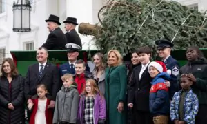 First Lady Jill Biden Receives White House Christmas Tree