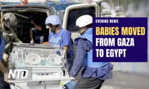 NTD Evening News Full Broadcast (Nov. 20)