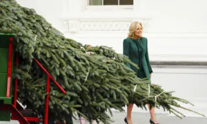 First Lady Jill Biden Receives 2024 Christmas Tree at the White House