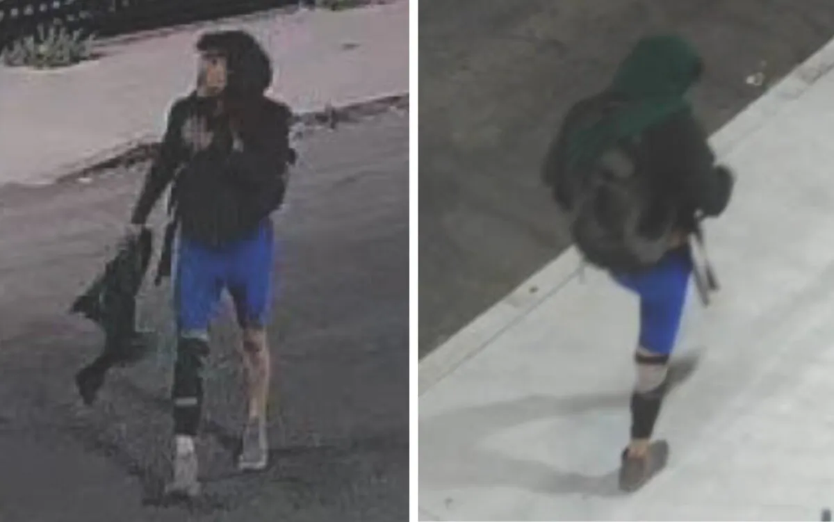 The person of interest in the arson that closed I-10 freeway in Los Angeles. (Courtesy of the California Department of Forestry and Fire)