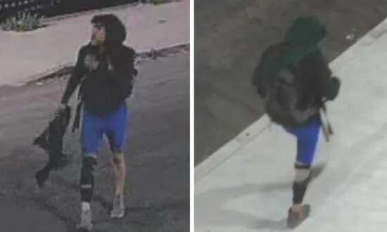 Authorities Search for Person of Interest in Los Angeles Freeway Fire