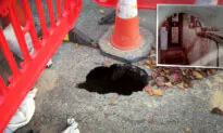 Suspicious Locals Spot Sinkhole, Call Paranormal Experts—Revealing Forgotten ‘Haunted’ Tunnels