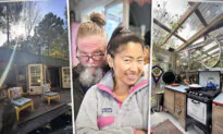 Couple Ditch Miami Life for Off-Grid Cabin in the Woods—Turn Acreage Into Profitable Airbnb