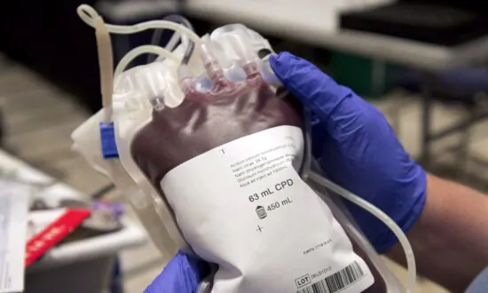 Health Canada Approves Nationwide Removal of Blood Donor Ban Sparked by Mad Cow Fears