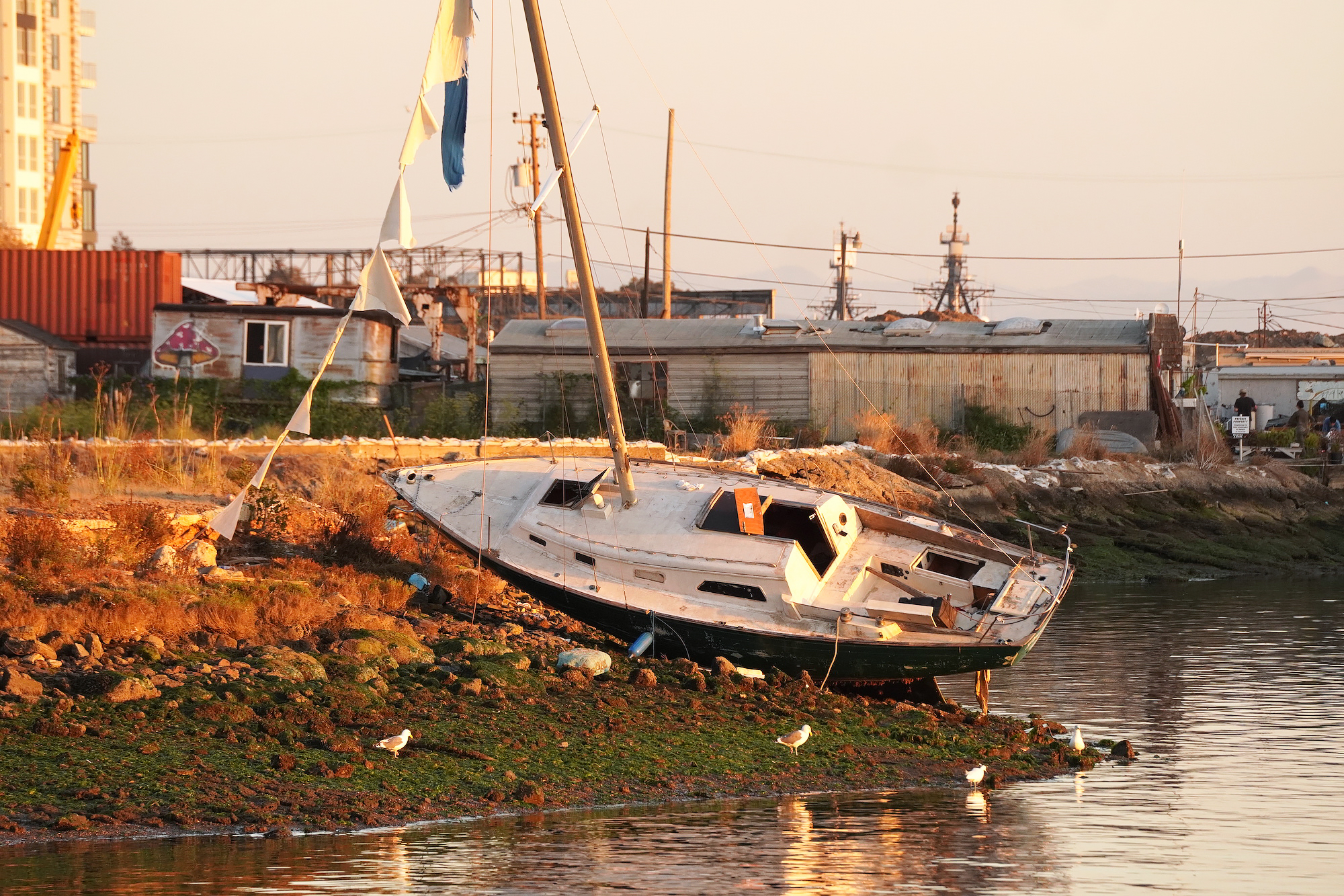 Epoch Times Photo