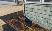 Ask the Builder: Why Homes Get Flooded, and How to Prevent It