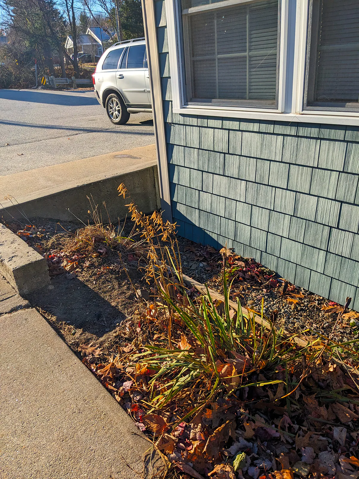 This veterinarian office foundation was built so low into the ground that a retaining wall had to be built to keep the fill dirt off the siding. The building should never have passed inspection. (Tim Carter/Tribune Content Agency/TNS)