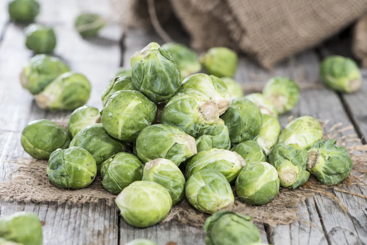 Brussels sprouts can make a great side dish for Thanksgiving. (Dreamstime/TNS)
