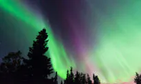 How to Experience Europe’s Northern Lights by Rail