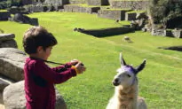 Traveling With Kids Can Be Easy and Fun